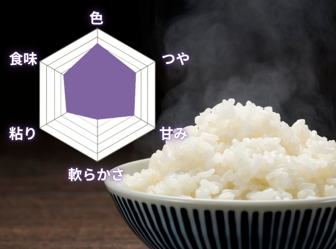 ハナエチゼンの特徴