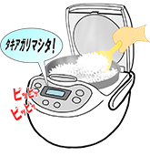通常米写真